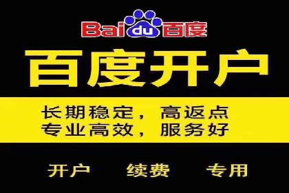 网络推广竞价实战案例分析集